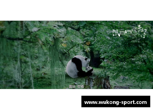 河流之心：探寻Rivers球员的传奇旅程